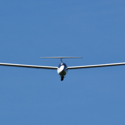 glider
